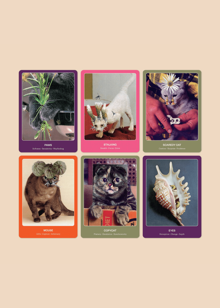 Jeu de Cartes The Cat Oracle Broccoli - Ex - voto