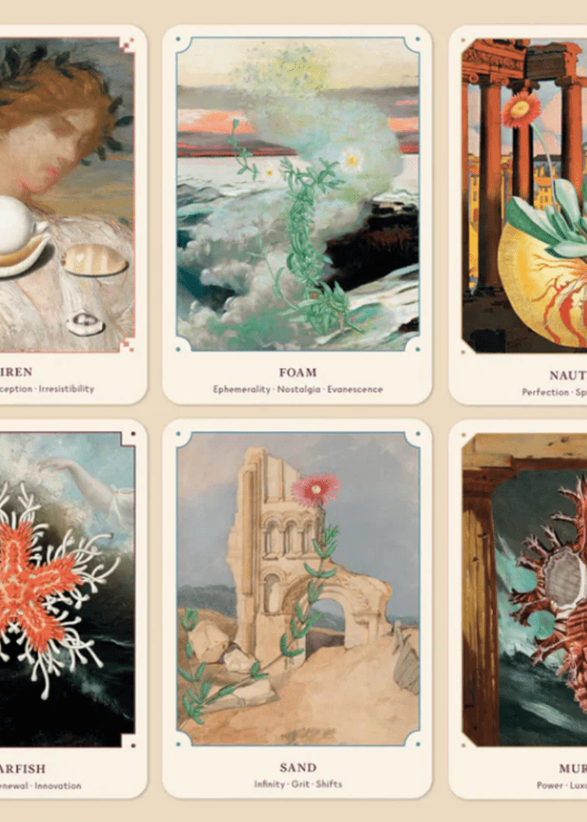 Jeu de Cartes The Seashell Oracle Broccoli - Ex - voto