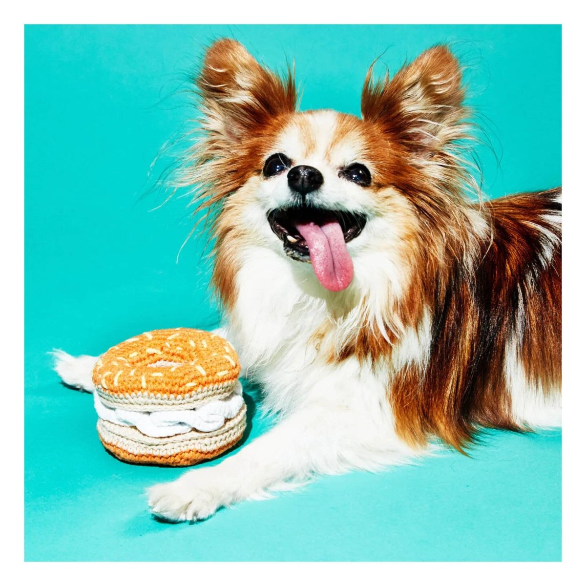 Jouet pour Chien Ware of the Dog (Plusieurs options options disponibles) - Ex - voto