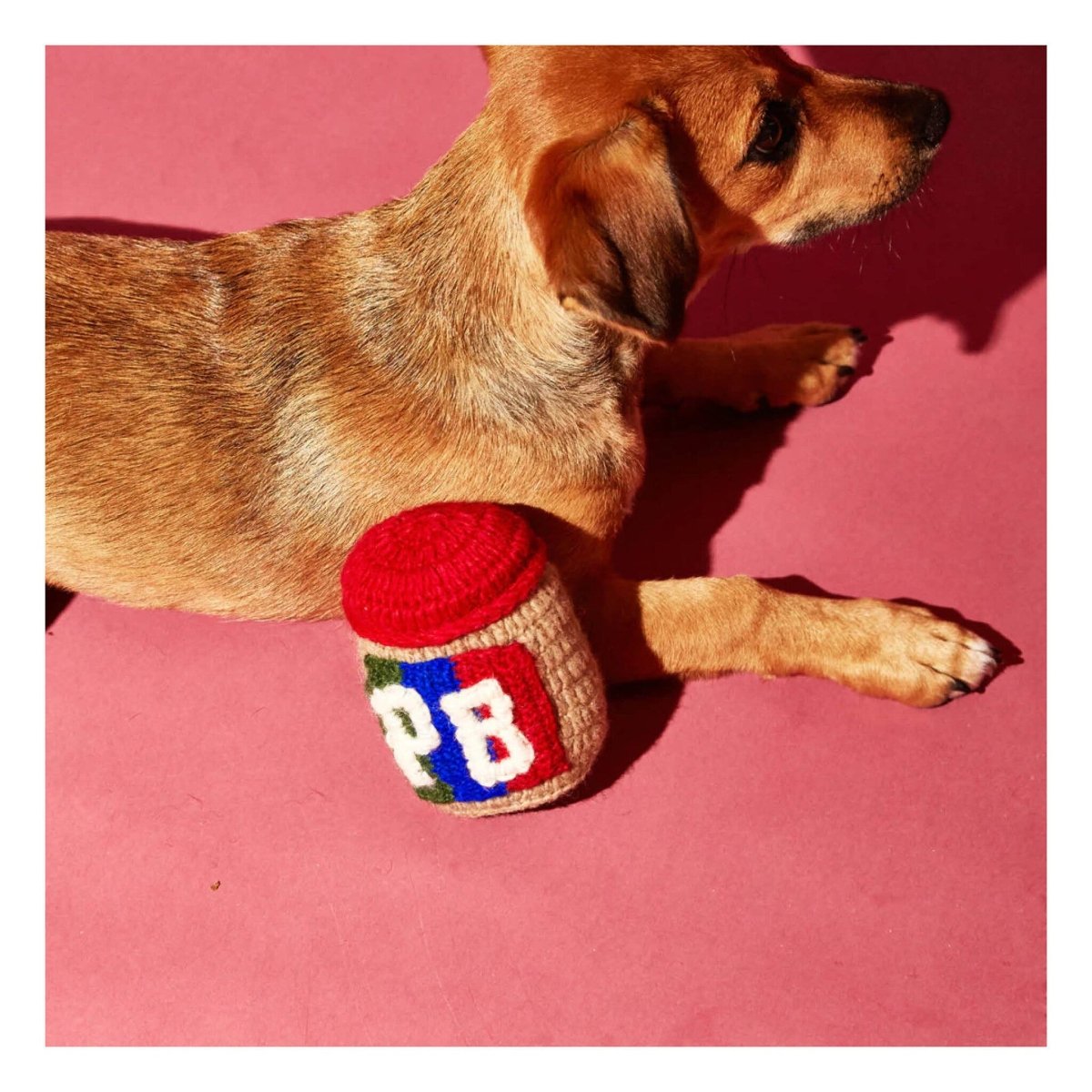 Jouet pour Chien Ware of the Dog (Plusieurs options options disponibles) - Ex - voto