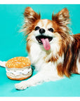 Jouet pour Chien Ware of the Dog (Plusieurs options options disponibles) - Ex - voto