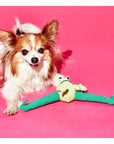 Jouet pour Chien Ware of the Dog (Plusieurs options options disponibles) - Ex - voto