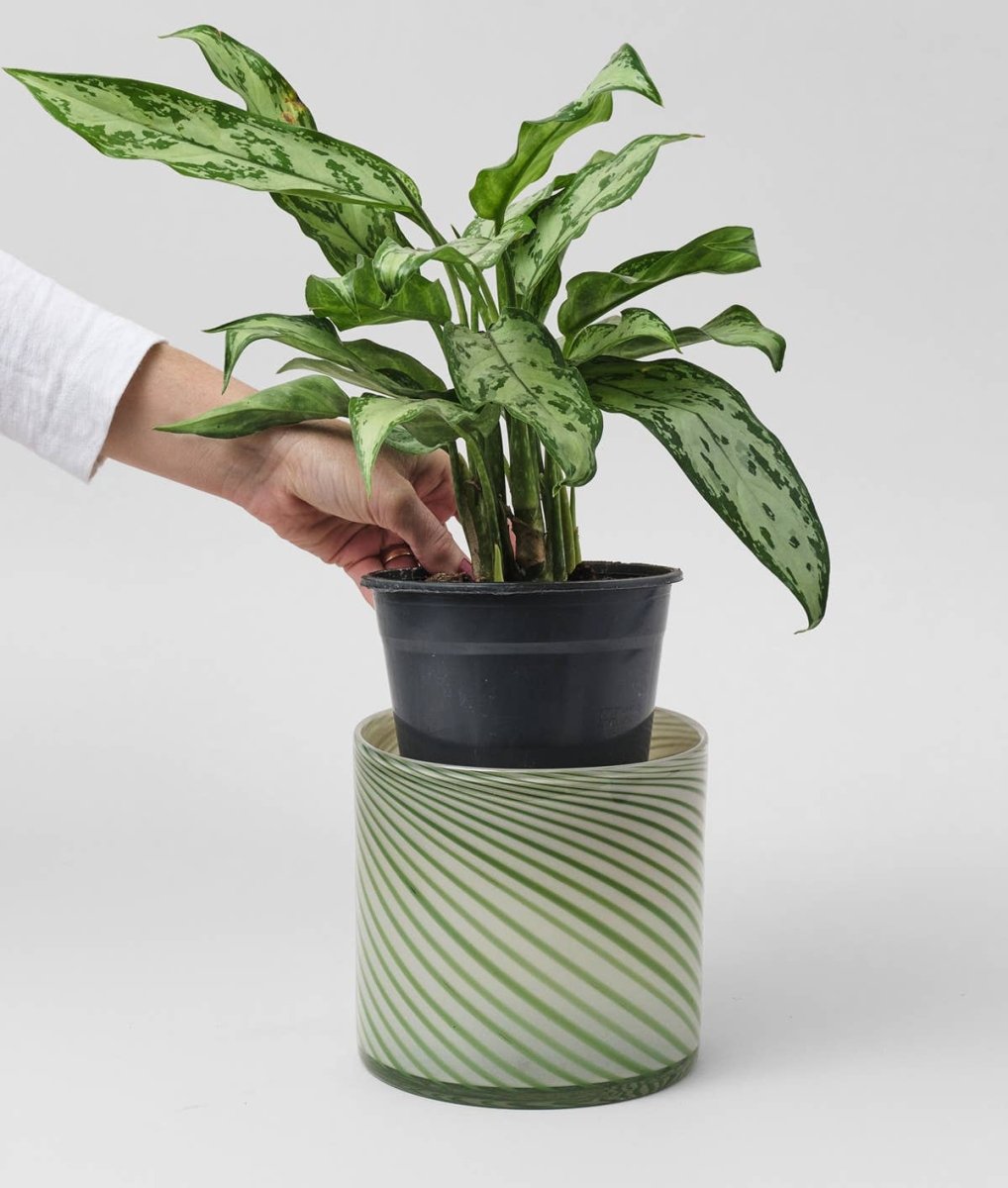 Large Cache - Pot Spiral Vert Wrap - Ex - voto