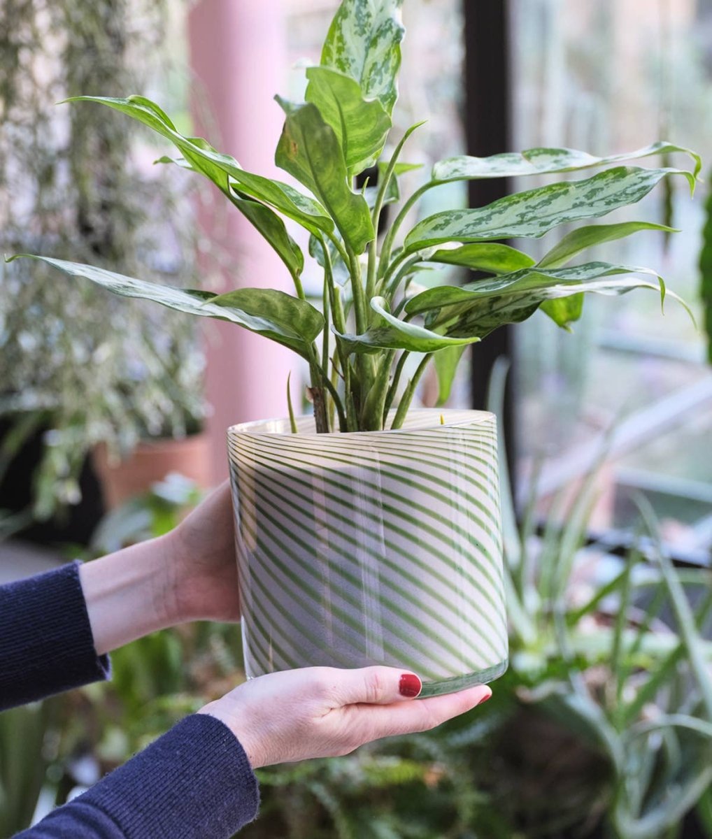 Large Cache - Pot Spiral Vert Wrap - Ex - voto