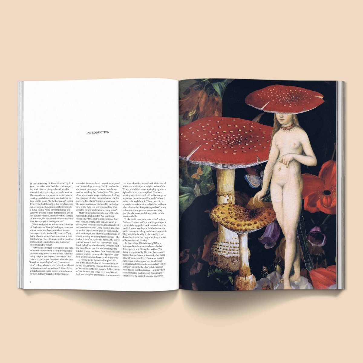 Livre Devotion to the Otherworld: The Art of Bethany van Rijswijk Broccoli - Ex-voto