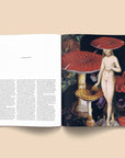 Livre Devotion to the Otherworld: The Art of Bethany van Rijswijk Broccoli - Ex-voto