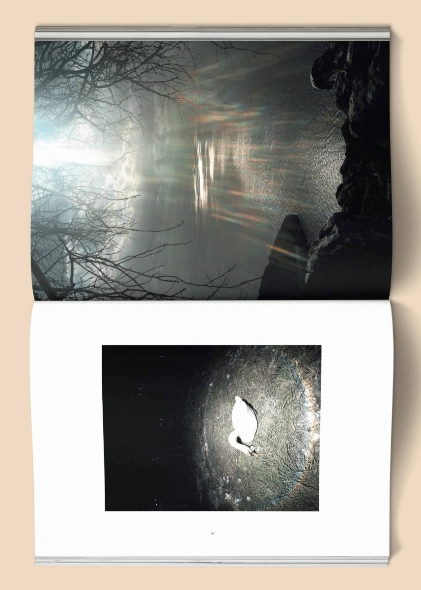 Livre Female Pentimento: Inner Nature Broccoli - Ex - voto