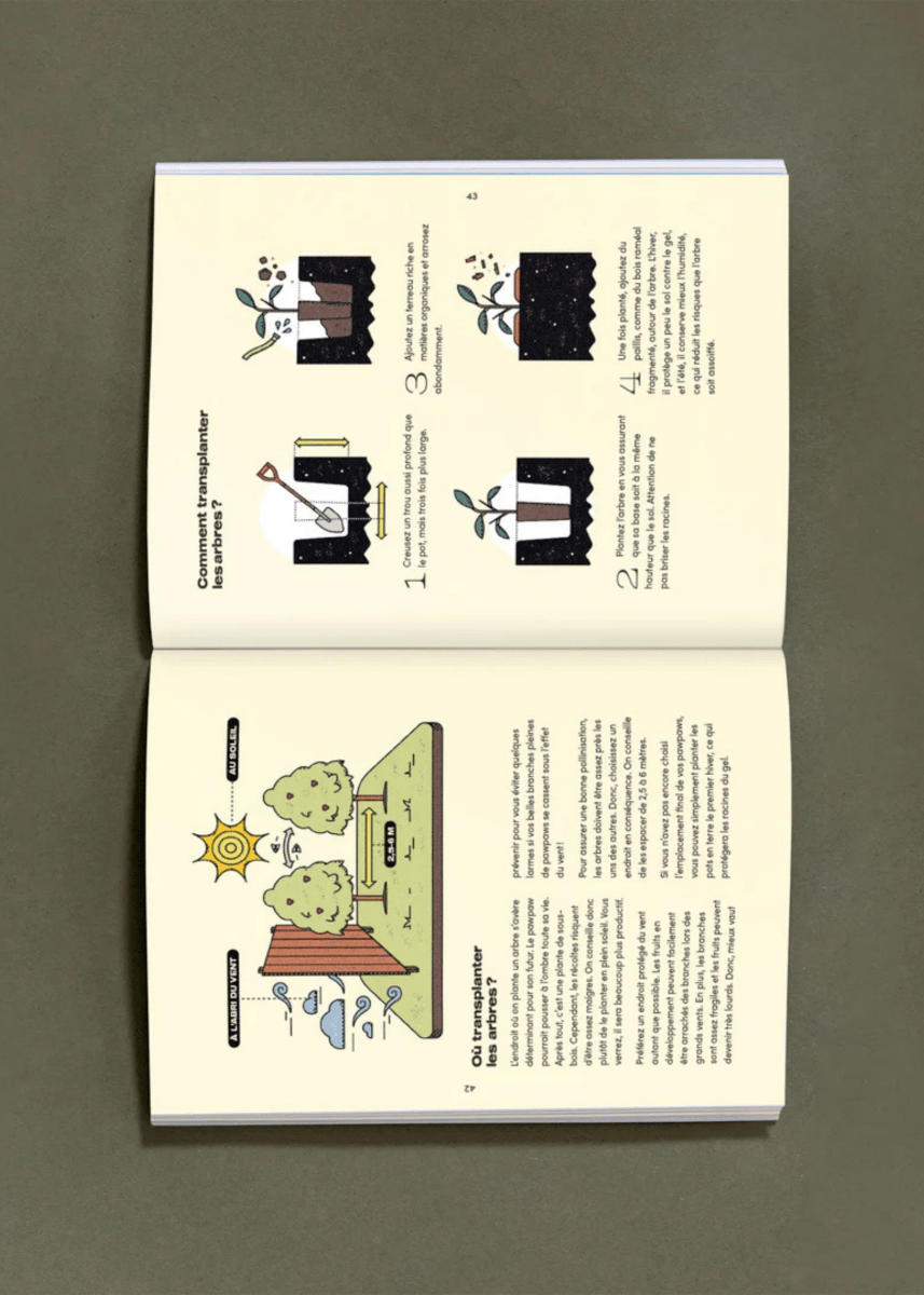 Livre Le Pawpaw: Son histoire et sa culture Nutritioniste Urbain - Ex - voto