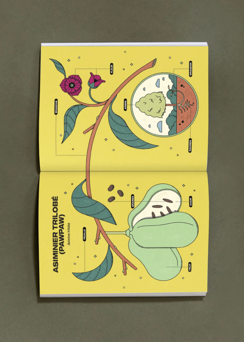 Livre Le Pawpaw: Son histoire et sa culture Nutritioniste Urbain - Ex - voto