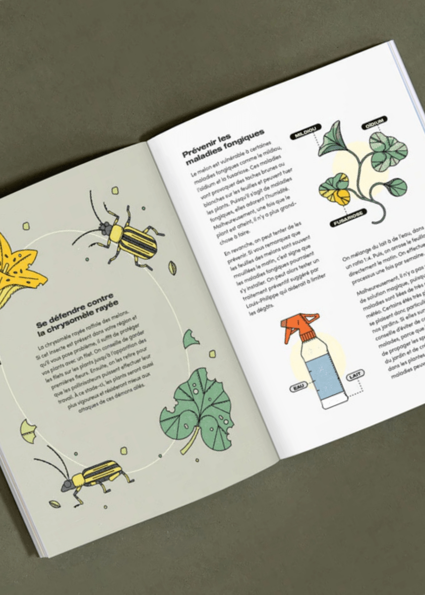 Livre Le Petit Guide illustré du Melon de Montréal - Nutritioniste Urbain - Ex - voto