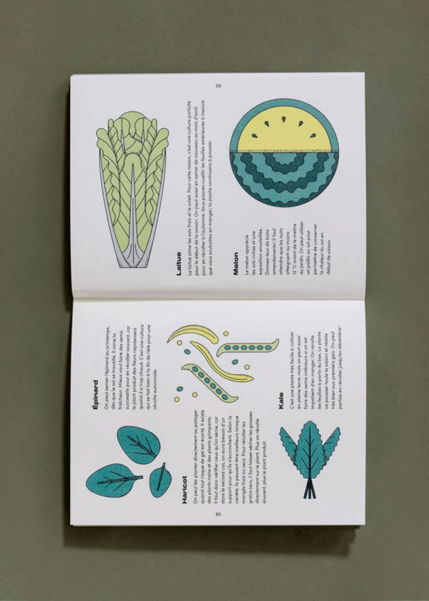 Livre Le Petit Guide illustré du Potager - Nutritioniste Urbain - Ex - voto