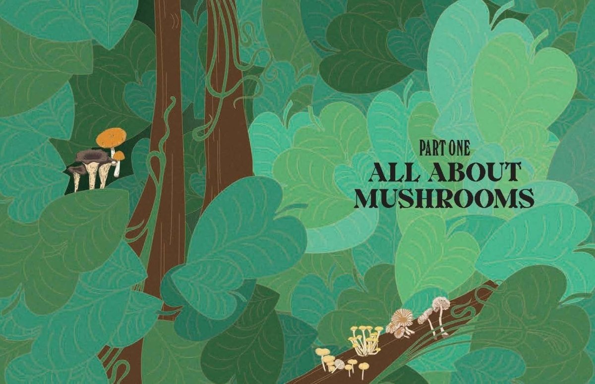 Livre Mushrooms Chronicle Books - Ex - voto