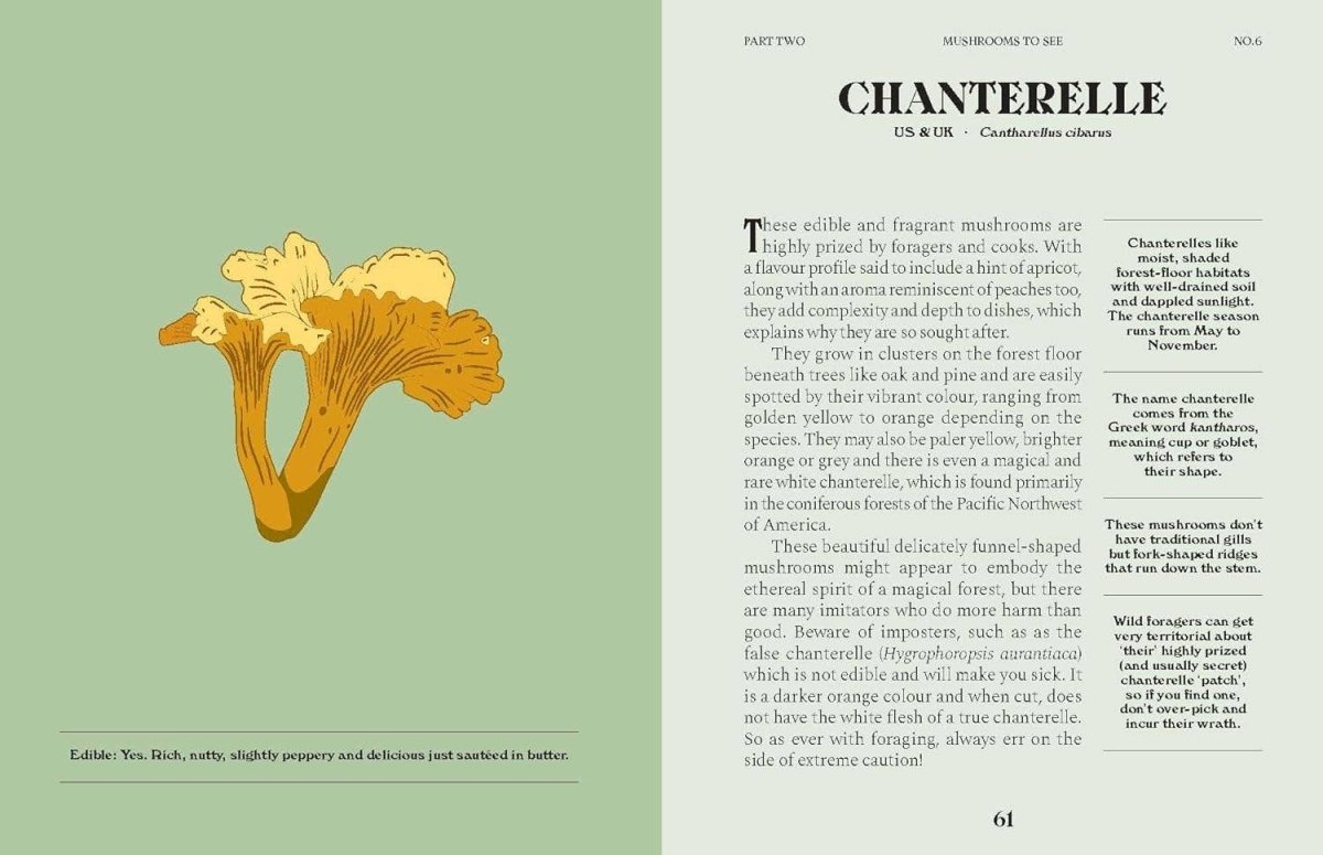 Livre Mushrooms Chronicle Books - Ex - voto