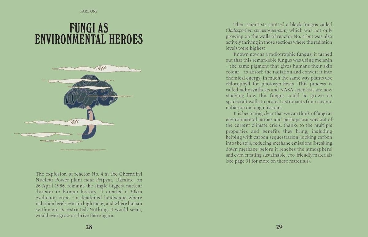 Livre Mushrooms Chronicle Books - Ex - voto