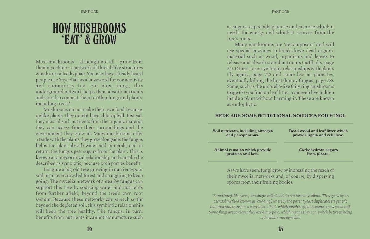 Livre Mushrooms Chronicle Books - Ex - voto