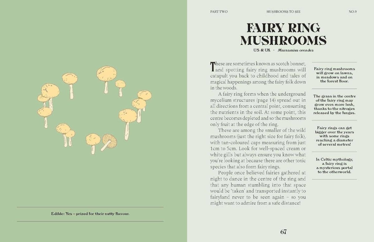 Livre Mushrooms Chronicle Books - Ex - voto