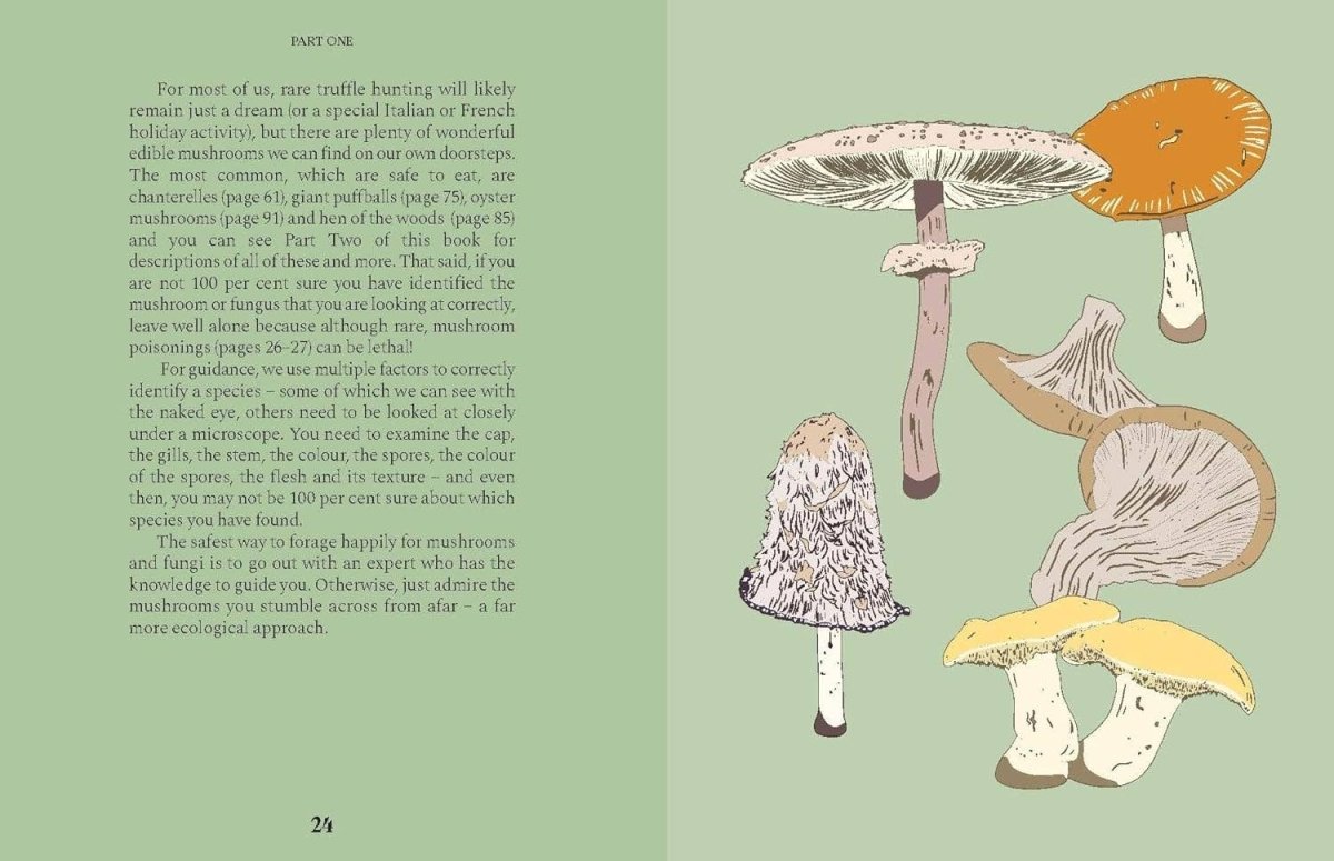 Livre Mushrooms Chronicle Books - Ex - voto