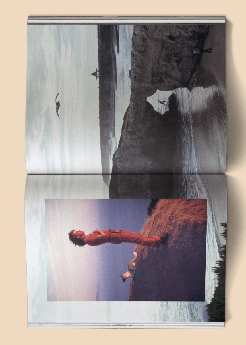 Livre Photo The Family Acid: California Broccoli - Ex - voto