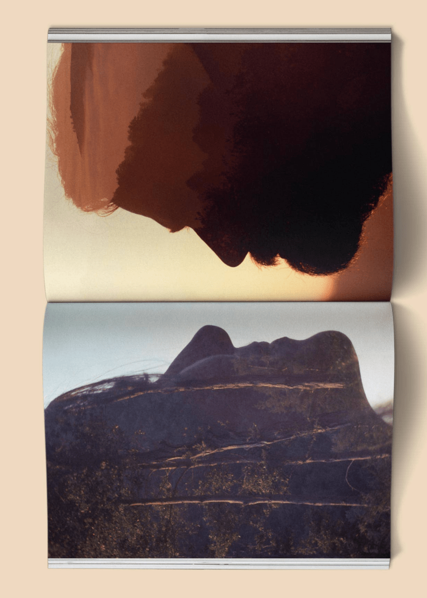 Livre Photo The Family Acid: California Broccoli - Ex - voto