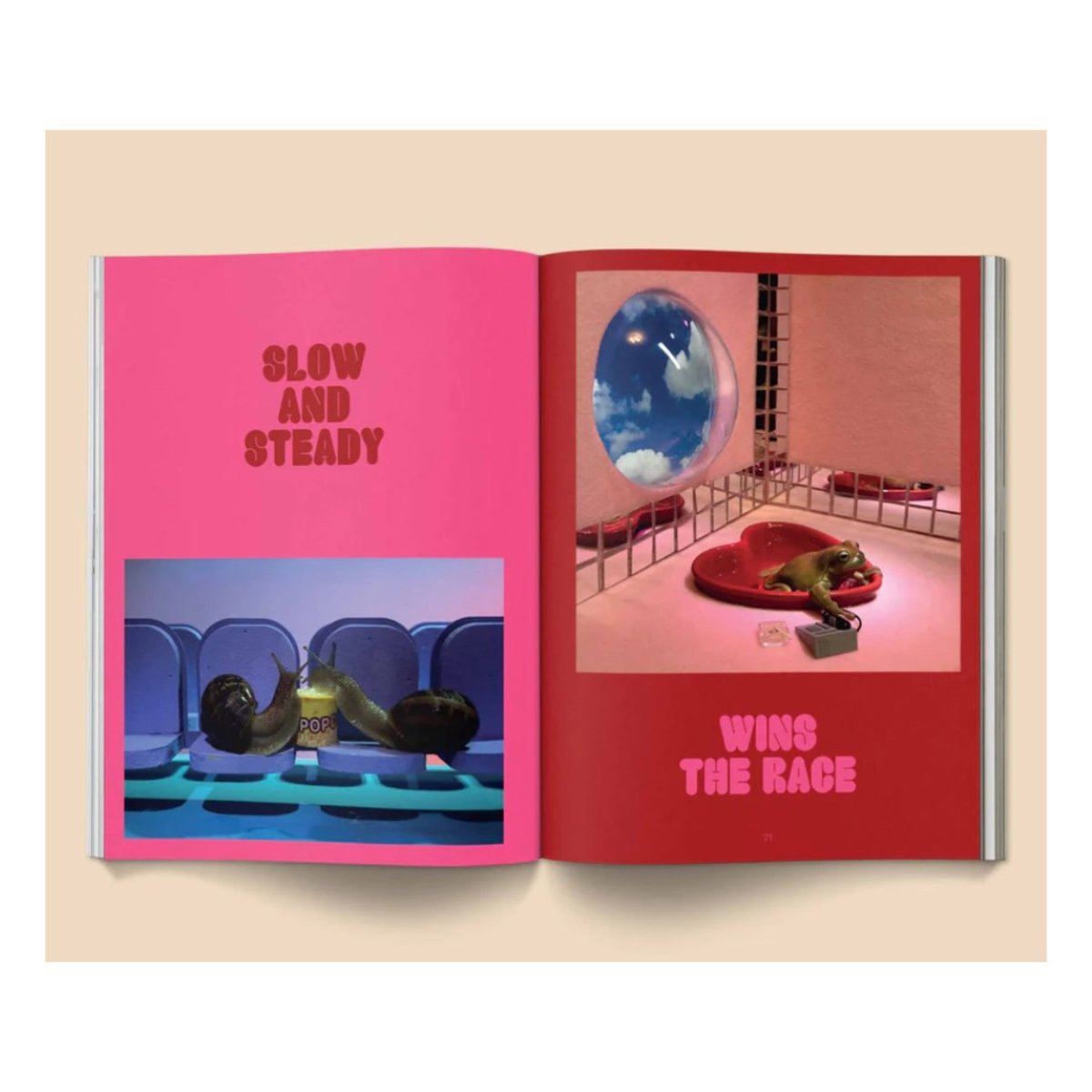 Livre Snail World Broccoli - Ex - voto