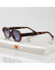 Lunette de Soleil Ribotti Hanson Steve - Ex - voto