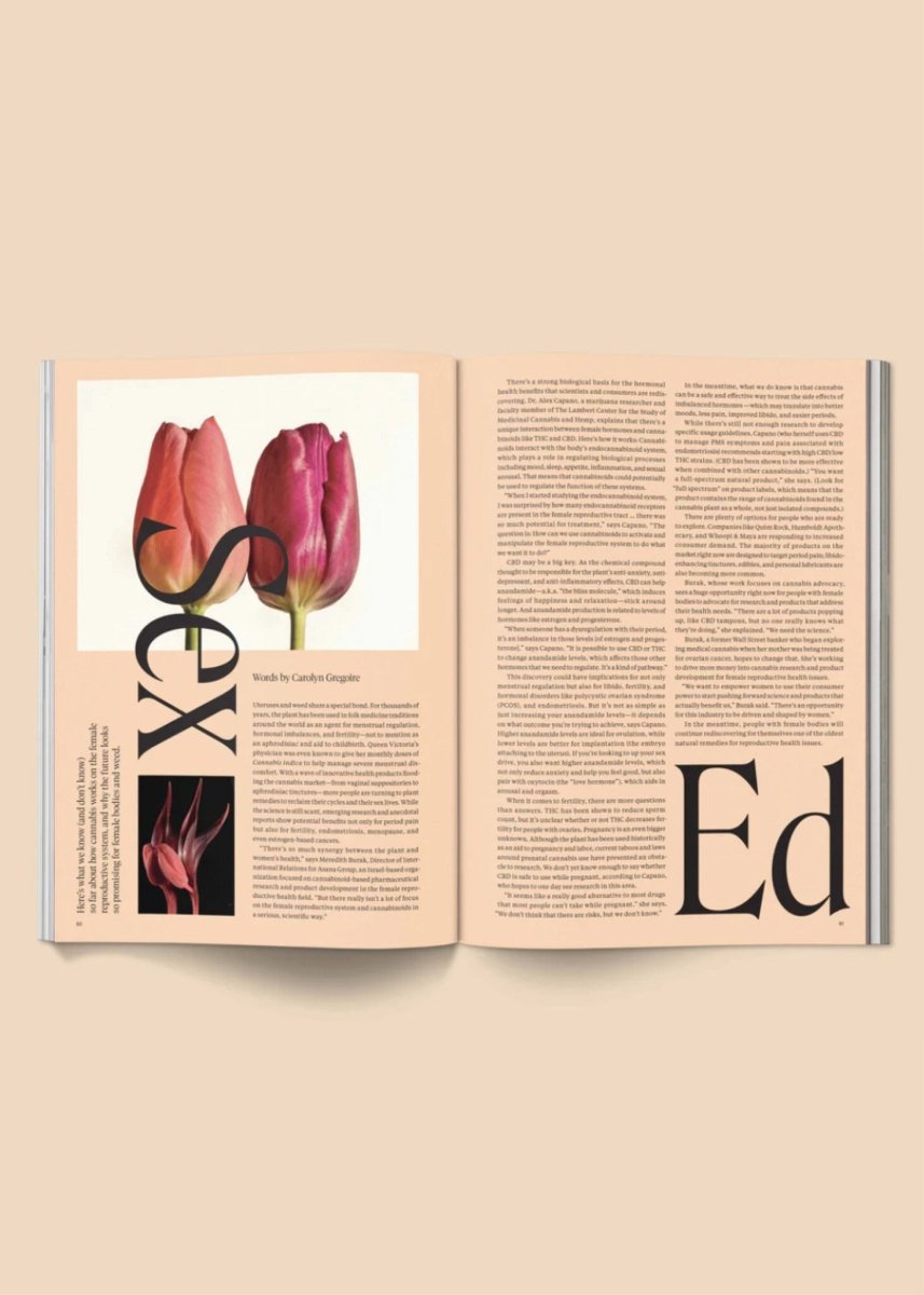 Magazine Broccoli 04 - Ex - voto