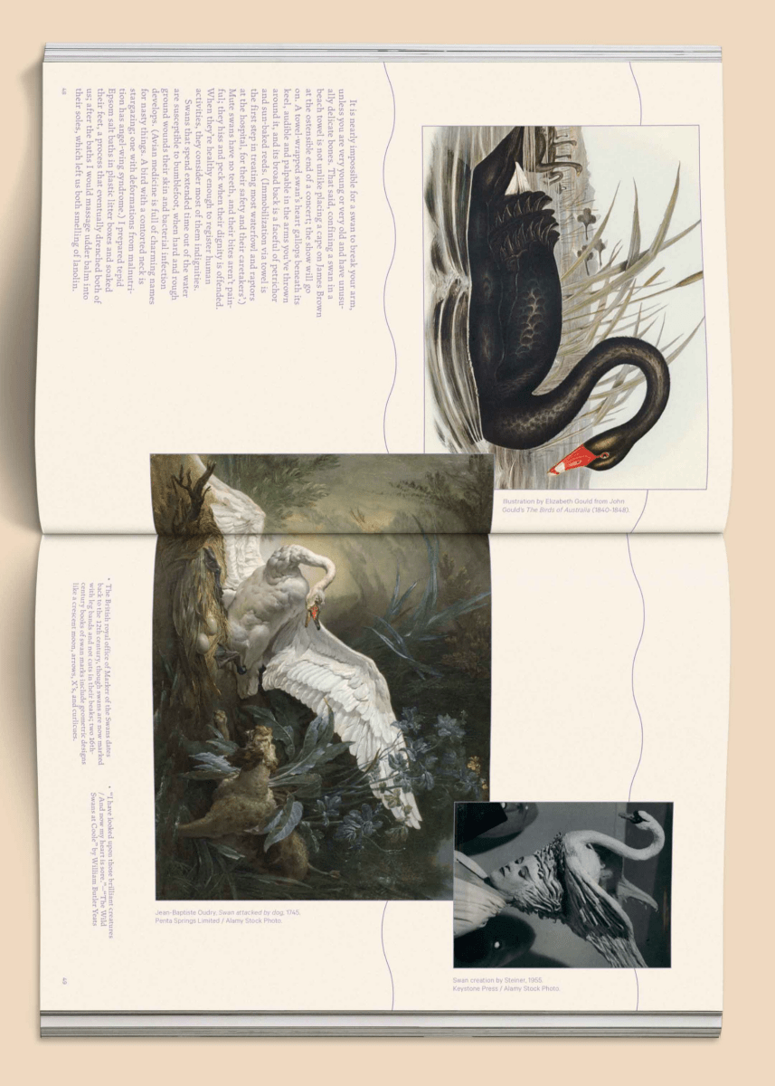 Magazine Broccoli 20 - Ex - voto