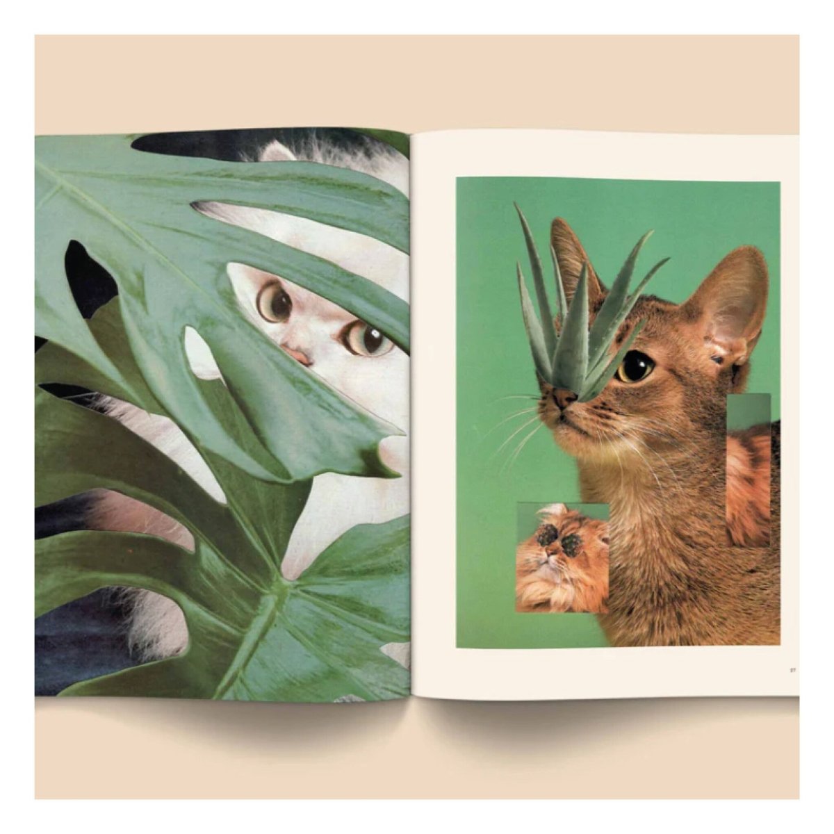 Magazine Catnip Broccoli vol. 1 - Ex - voto