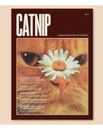 Magazine Catnip Broccoli vol. 1 - Ex - voto