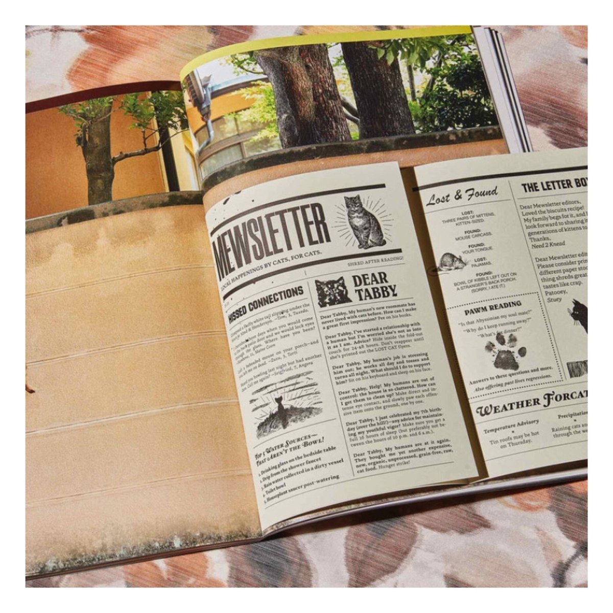 Magazine Catnip Broccoli vol. 1 - Ex - voto