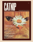 Magazine Catnip Broccoli vol. 1 - Ex - voto