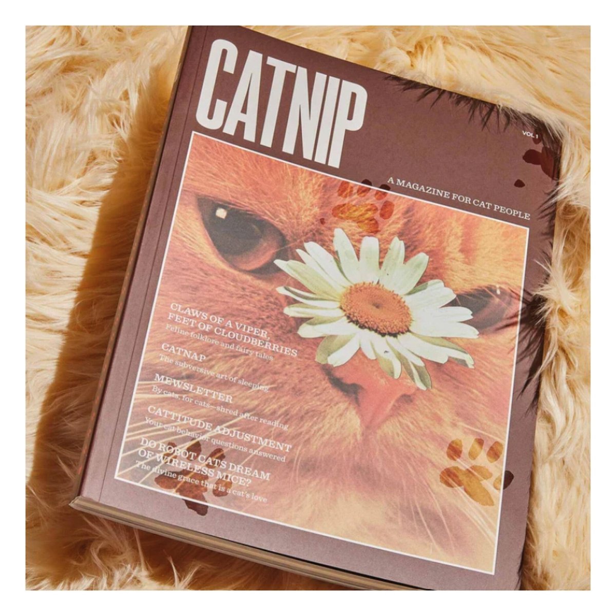 Magazine Catnip Broccoli vol. 1 - Ex - voto