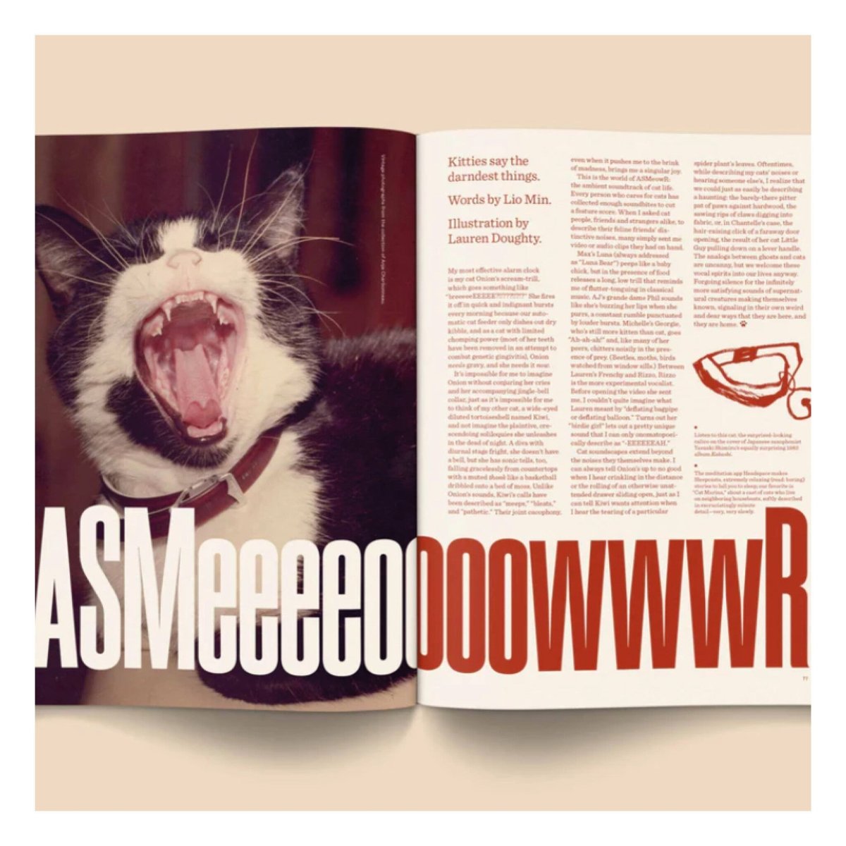 Magazine Catnip Broccoli vol. 1 - Ex - voto