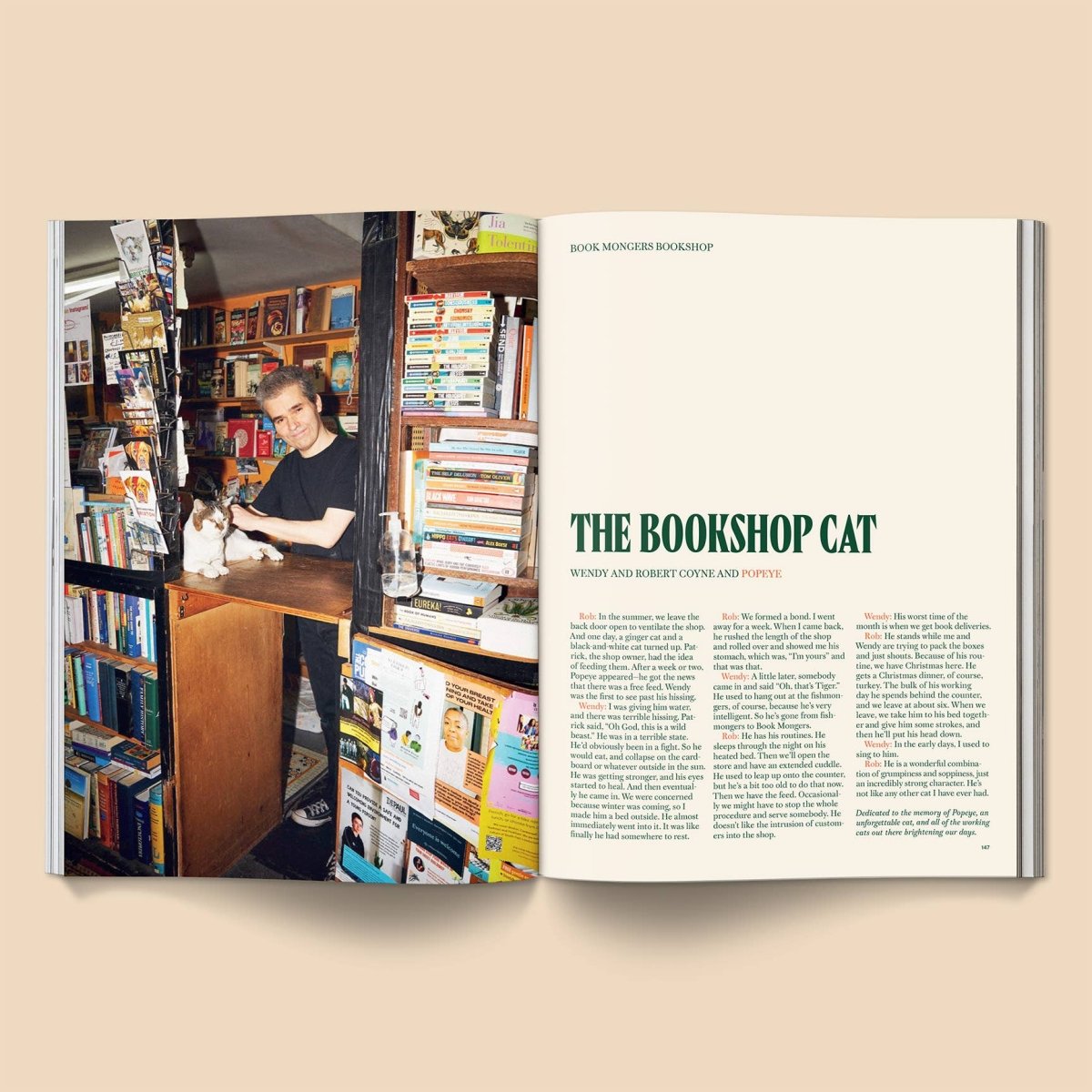 Magazine Catnip Broccoli Volume 2 - Ex - voto