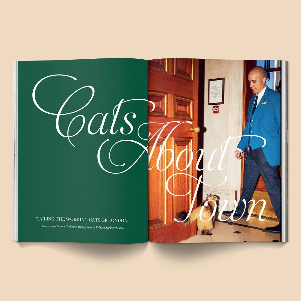 Magazine Catnip Broccoli Volume 2 - Ex - voto