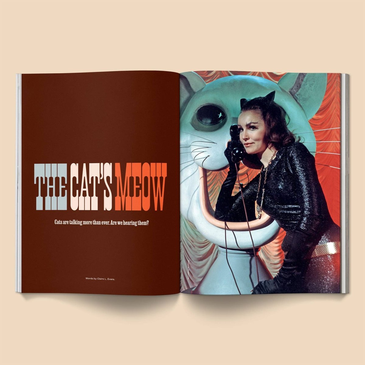 Magazine Catnip Broccoli Volume 2 - Ex - voto