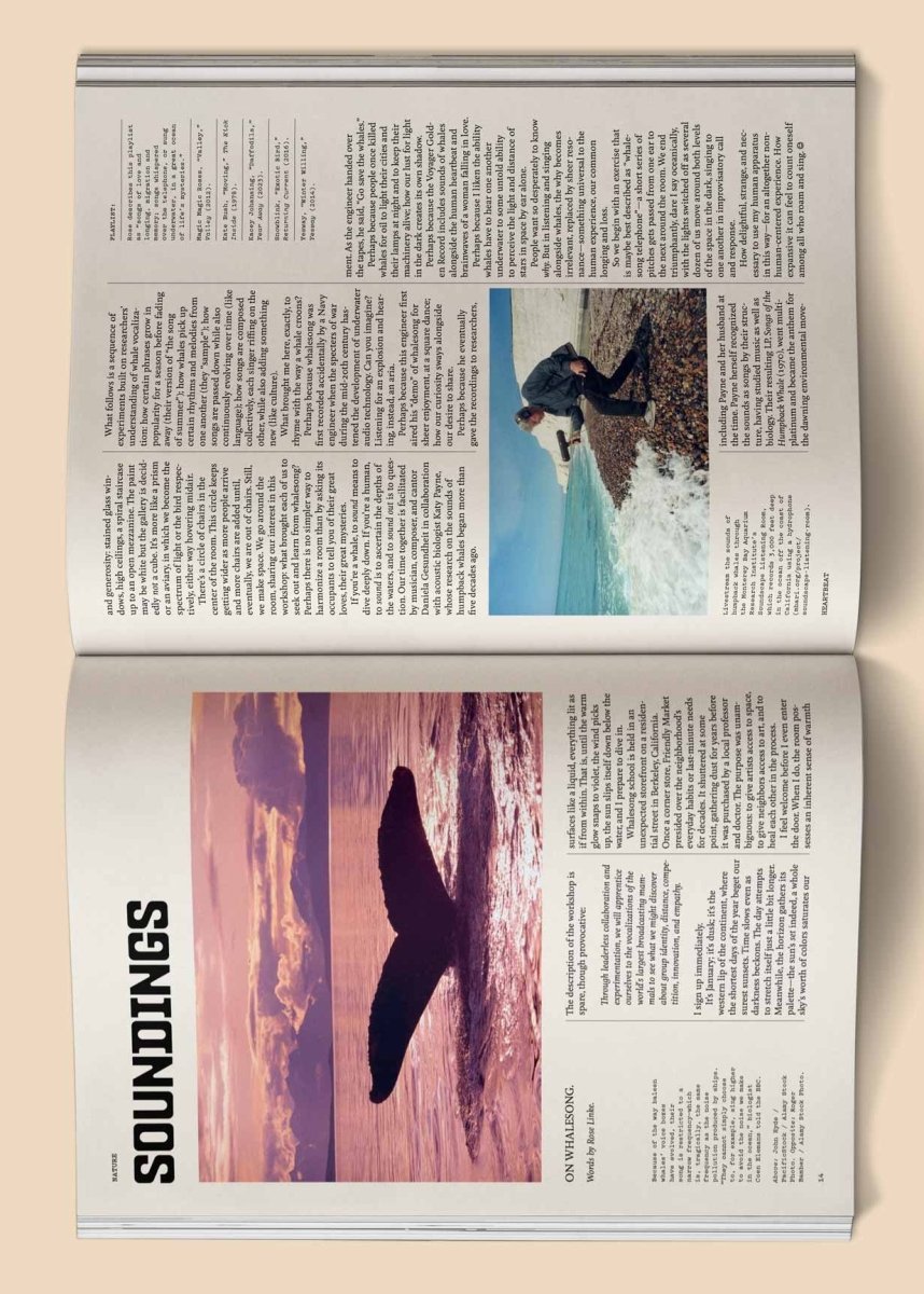 Magazine Heartbeat: Music, Sound, Emotion - Ex - voto