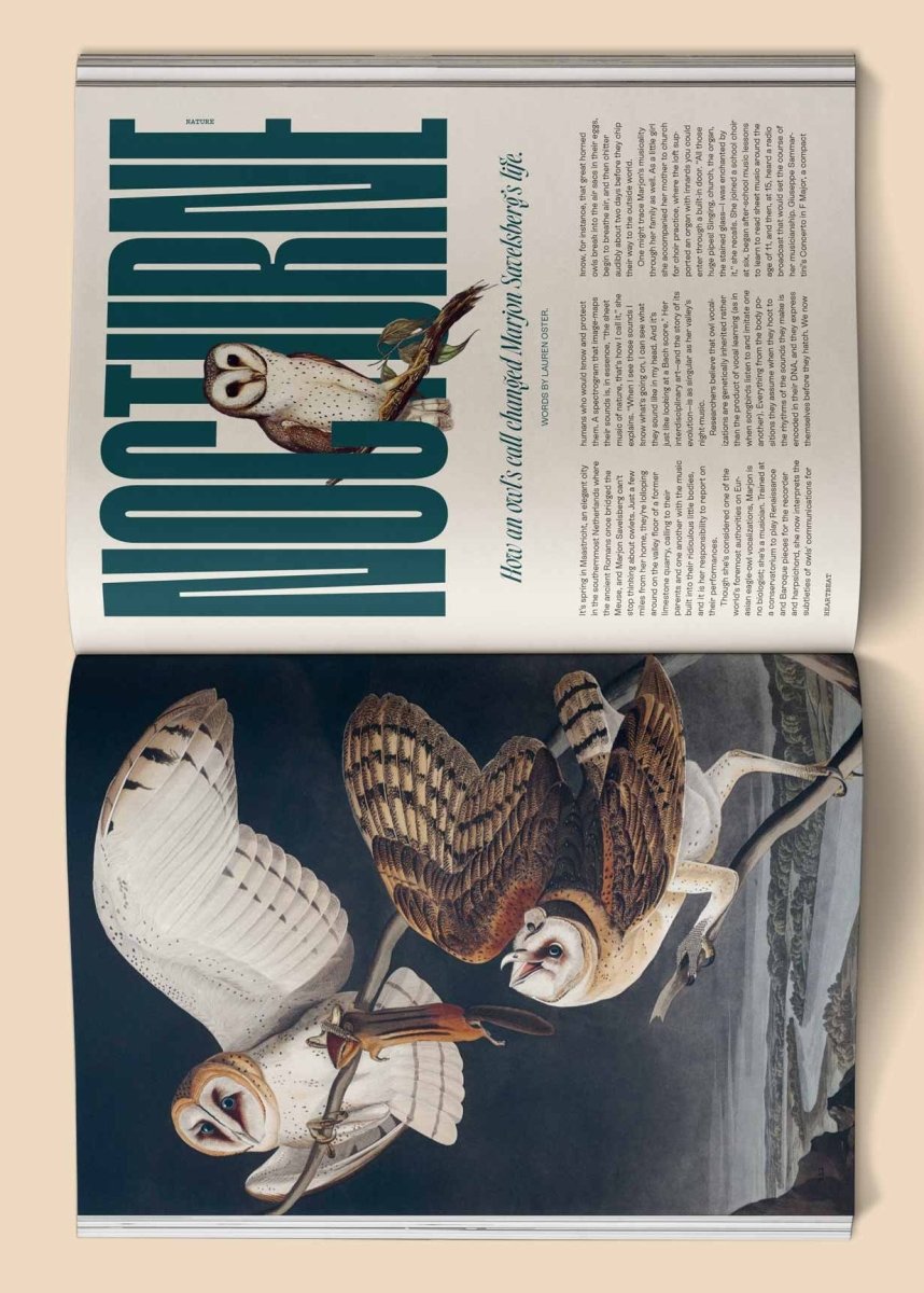 Magazine Heartbeat: Music, Sound, Emotion - Ex - voto