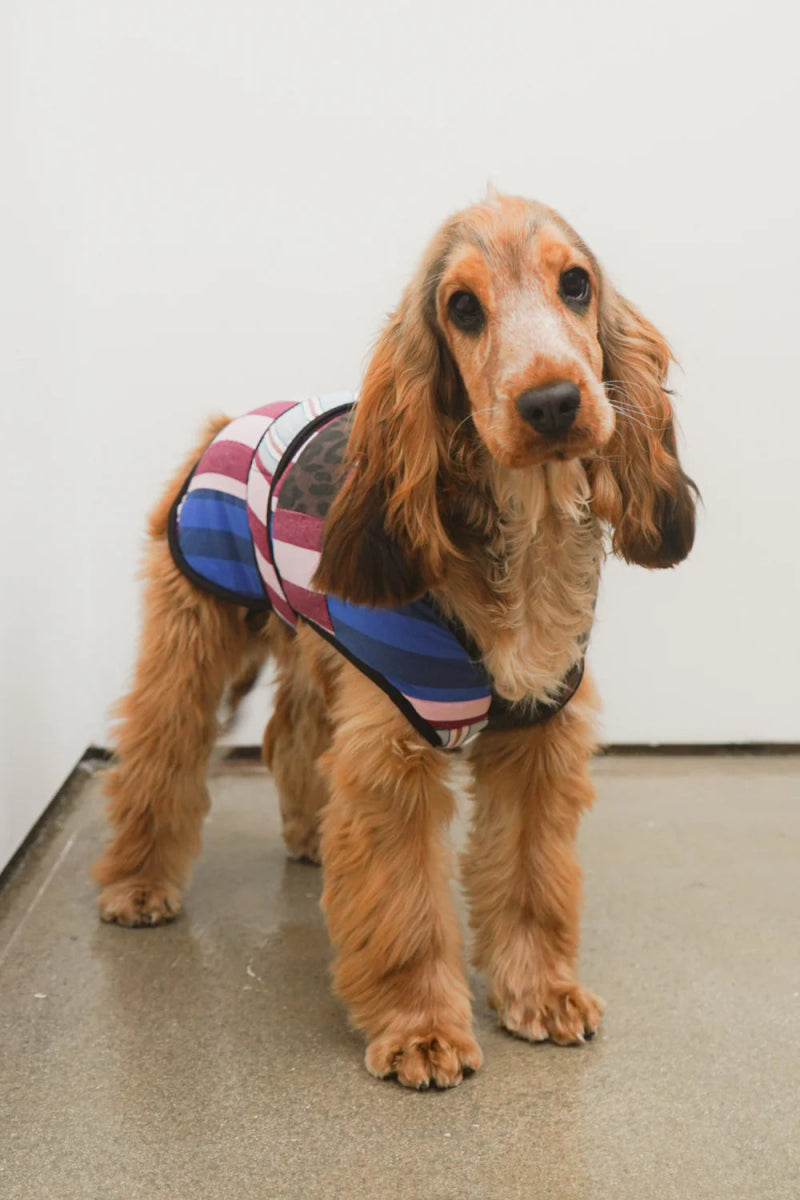 Manteau pour Chiens Patchwork Damson Madder - Ex - voto