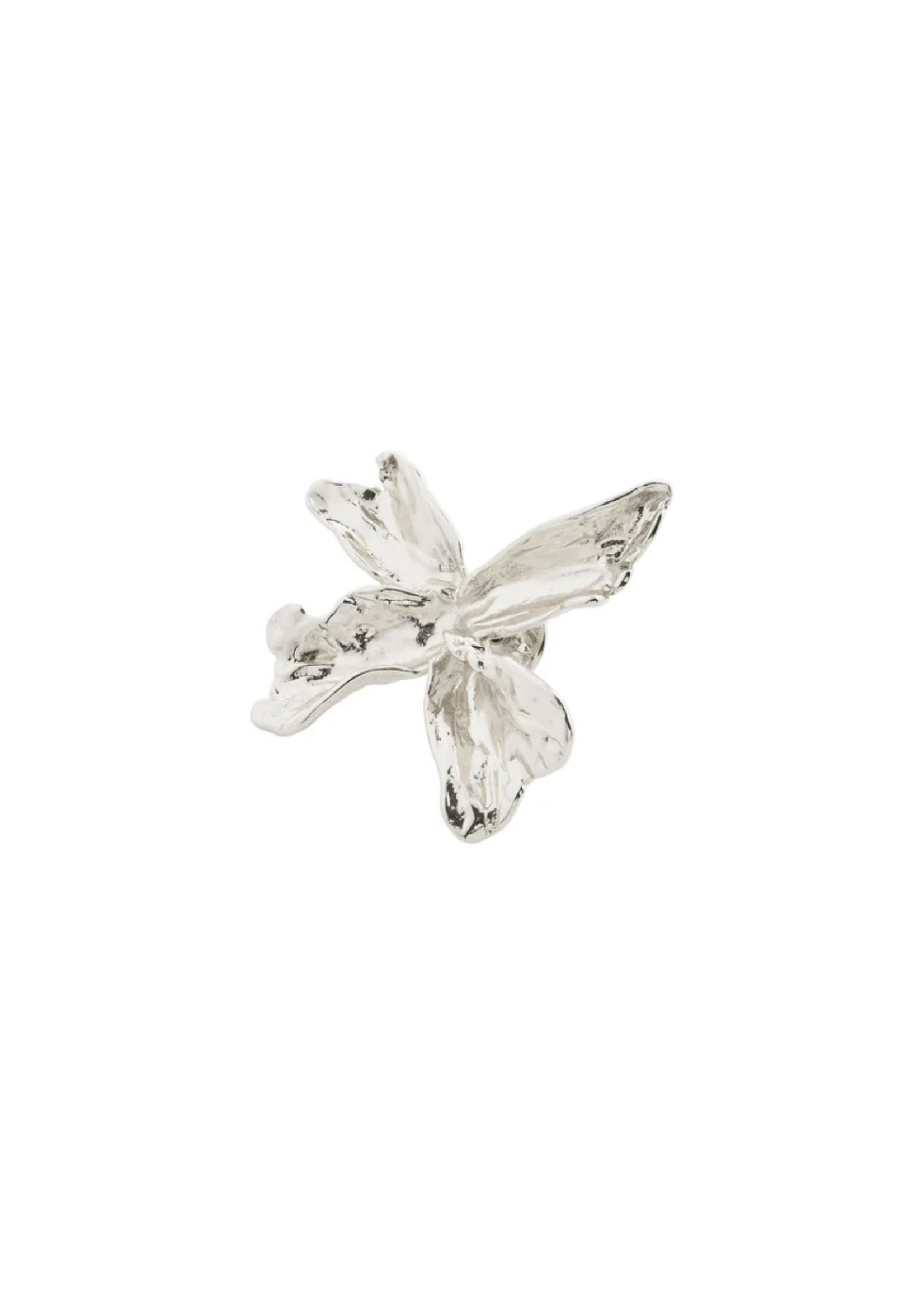 Broche Dream Pilgrim (Or ou Argent)