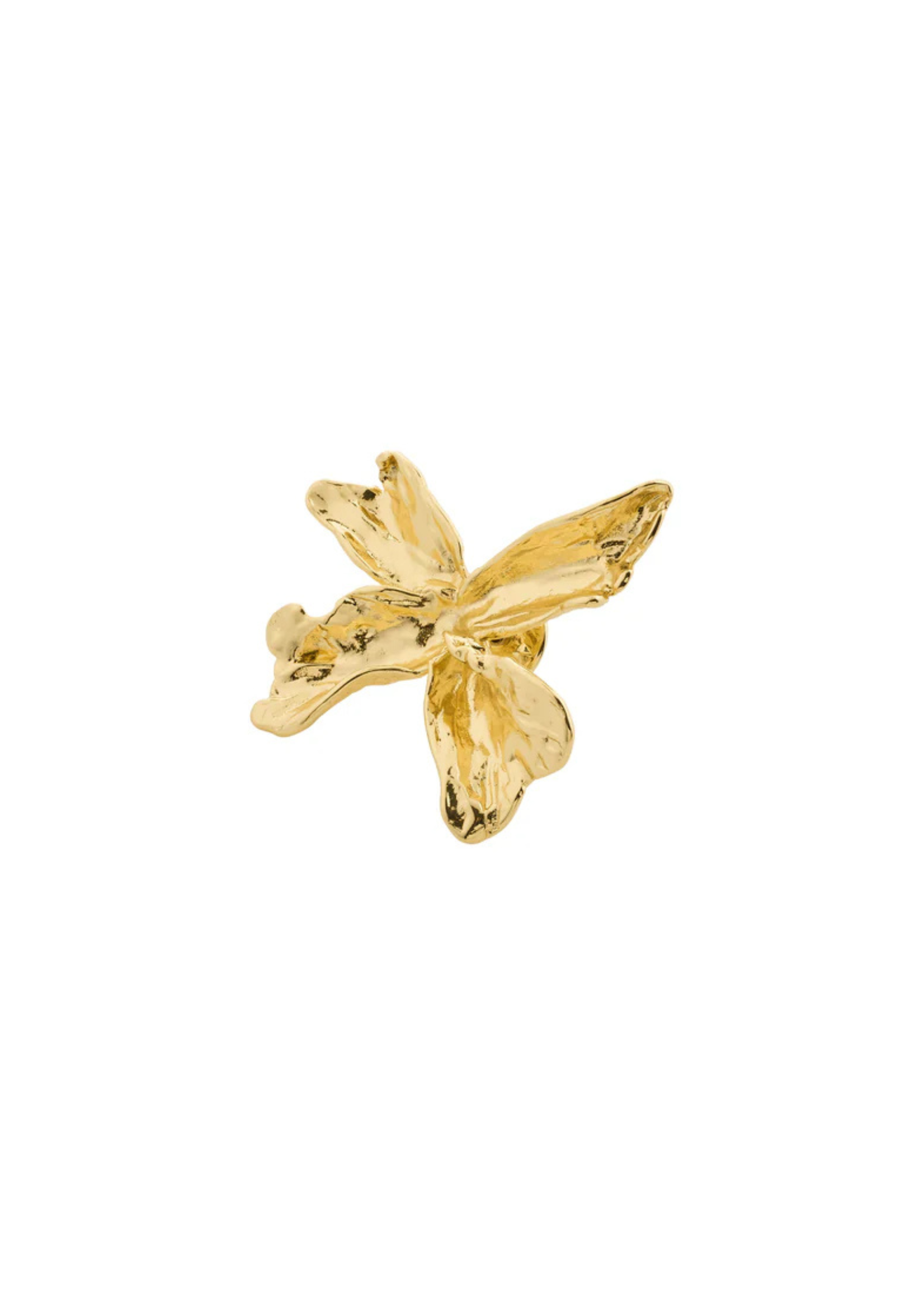 Broche Dream Pilgrim (Or ou Argent)