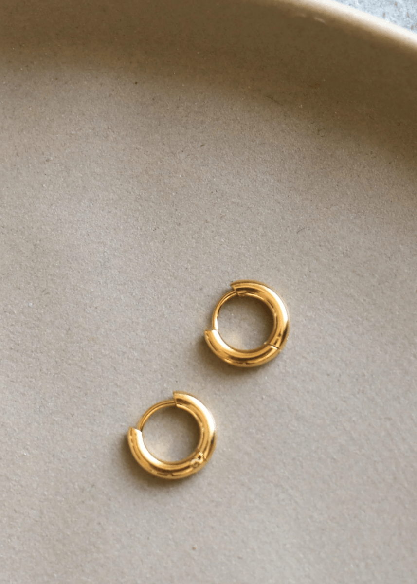 Micro Hoops Or Horace - Ex - voto