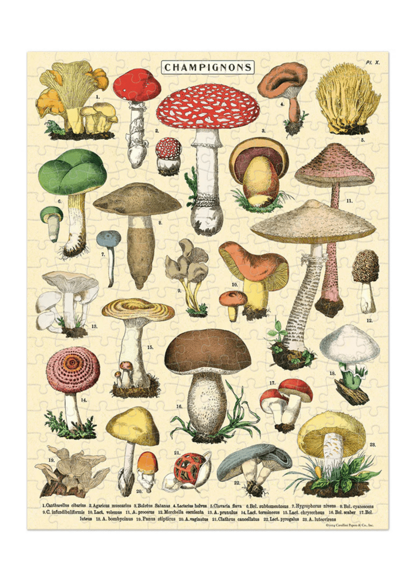 Mini Casse - Tête Champignons 240 pièces Cavallini - Ex - voto