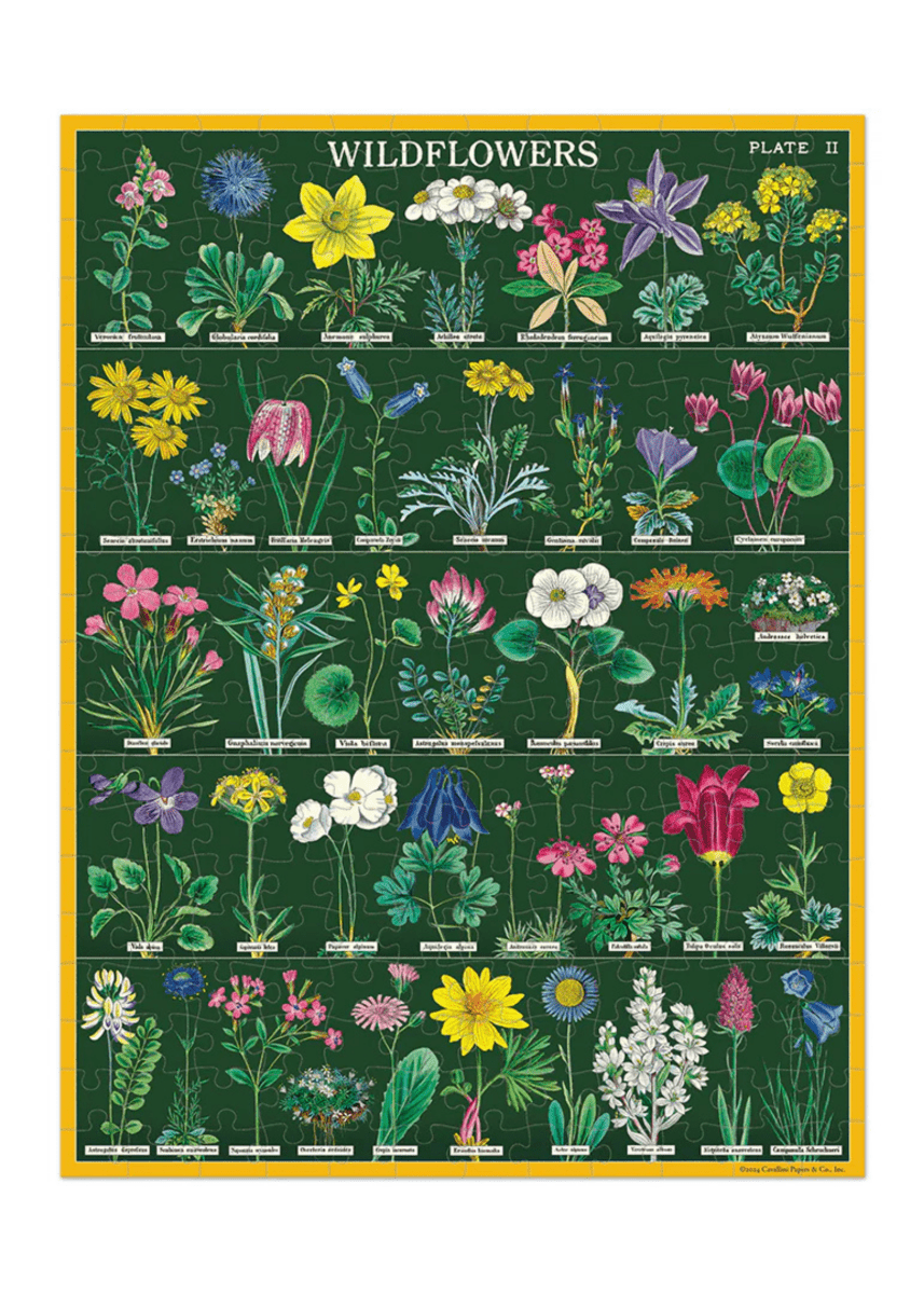 Mini Casse - Tête Wildflowers 240 pièces Cavallini - Ex - voto