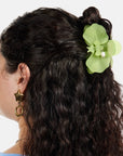 Pince Orchidée Frosted Lime Chunks - Ex-voto