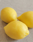 Savon Citron 125g Savon de Marseille - Ex-voto