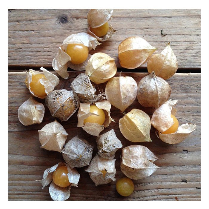 Semences de Fruits Piccolo Seeds (3 variétés disponibles) - Ex - voto