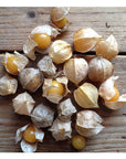 Semences de Fruits Piccolo Seeds (3 variétés disponibles) - Ex - voto
