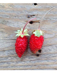 Semences de Fruits Piccolo Seeds (3 variétés disponibles) - Ex - voto