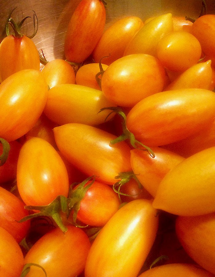 Semences Potager La Société des Plantes - Ex - voto